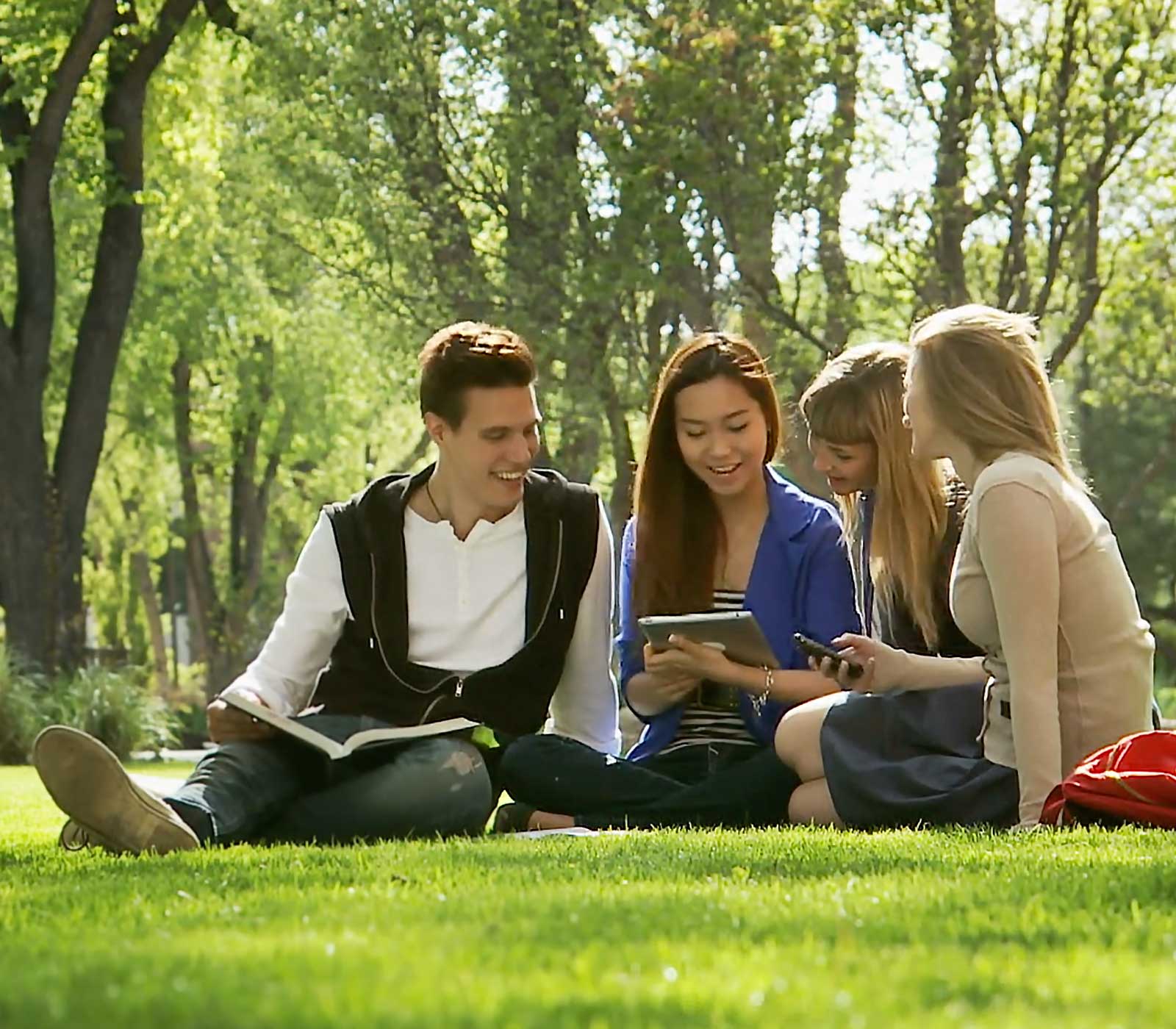 How do I write a well-structured cause and effect essay?